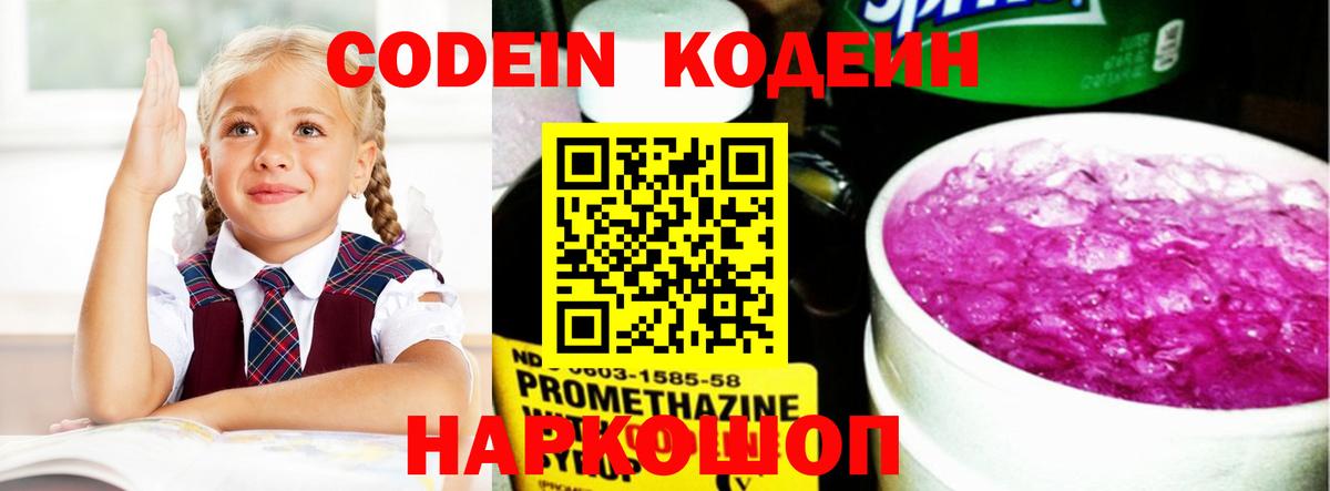 Ефремов  Codein напиток Lean (лин)  купить наркотик  Кодеиновый сироп Lean напиток Lean (лин)  Вход с VPN 