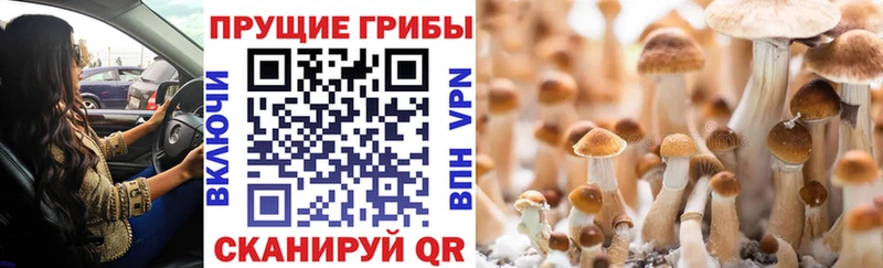купить наркотики сайты  Ефремов  Галлюциногенные грибы мухоморы 